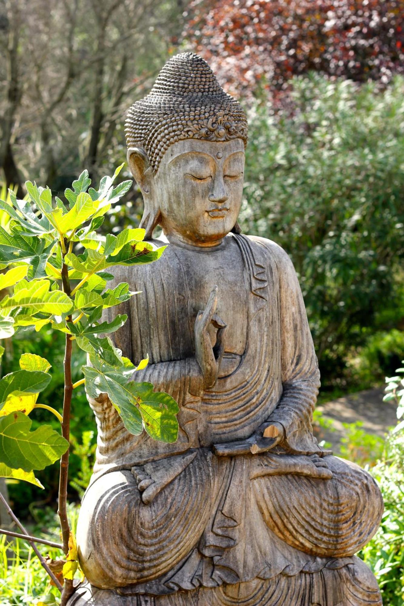 Moinhos Velhos Nature Healing Retreat * Lagos